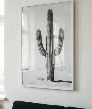 Silent Lines – Cactus