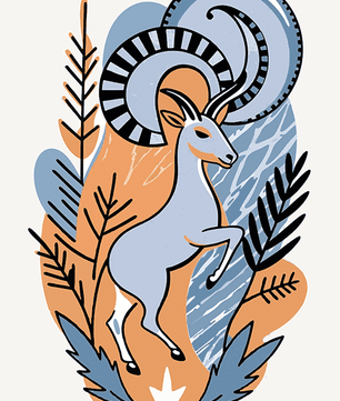 Ascenso de Capricorns