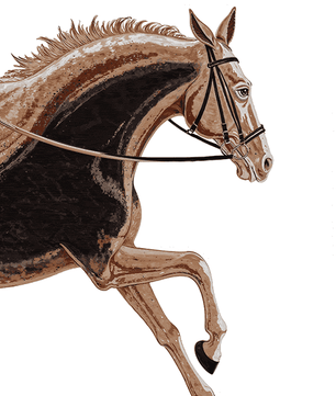 Paardensport elegantie