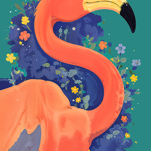 Flamingo Bloom