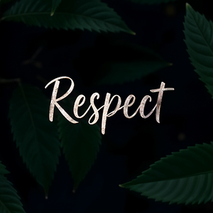 Respect in Bloom